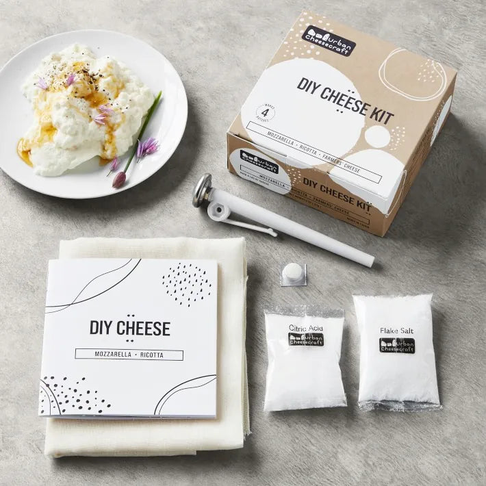DIY mozzarella cheesemaking ingredients laid out on kitchen counter