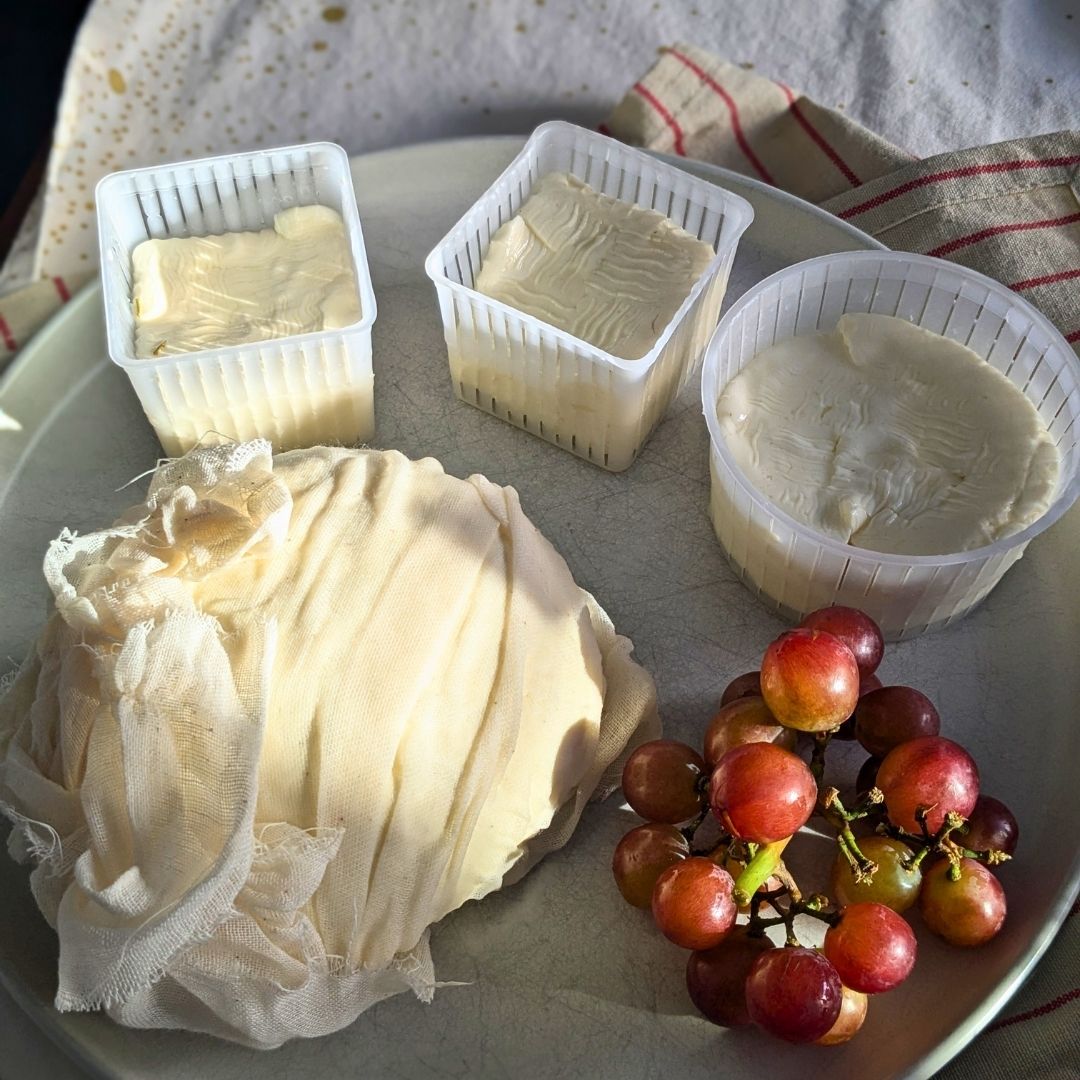 platter of 4 fresh cheeses made at home with grapes