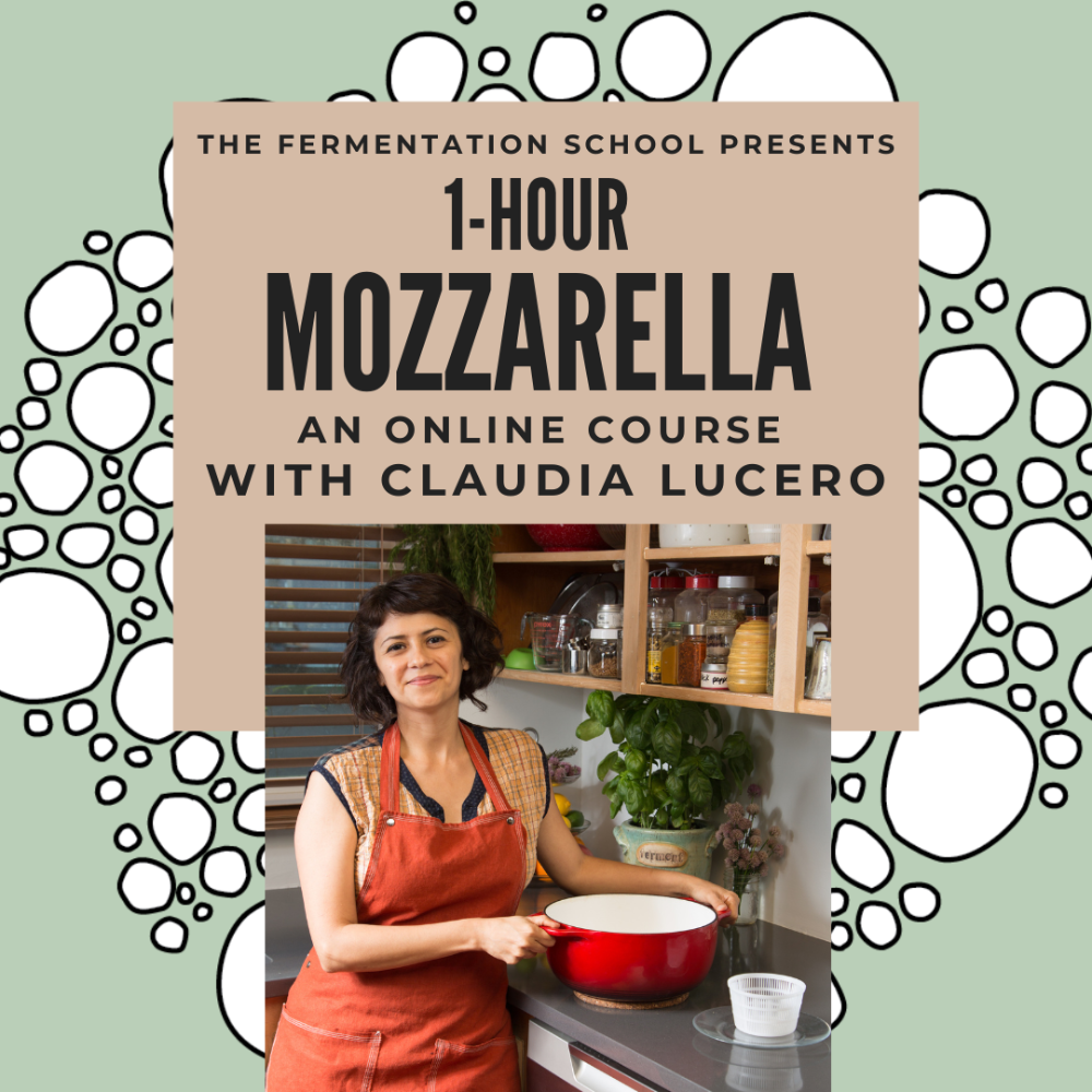 New! Book on Whey, Classes Online and in Person