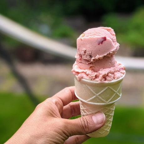 Cheese Ice Cream - Strawberry Ricotta Ice Cream Recipe