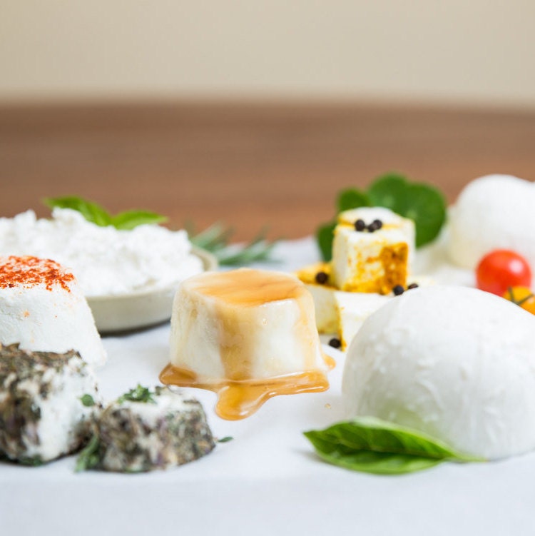 A Dozen Deluxe Kits - Each Kit Makes 8 One-Hour Cheeses