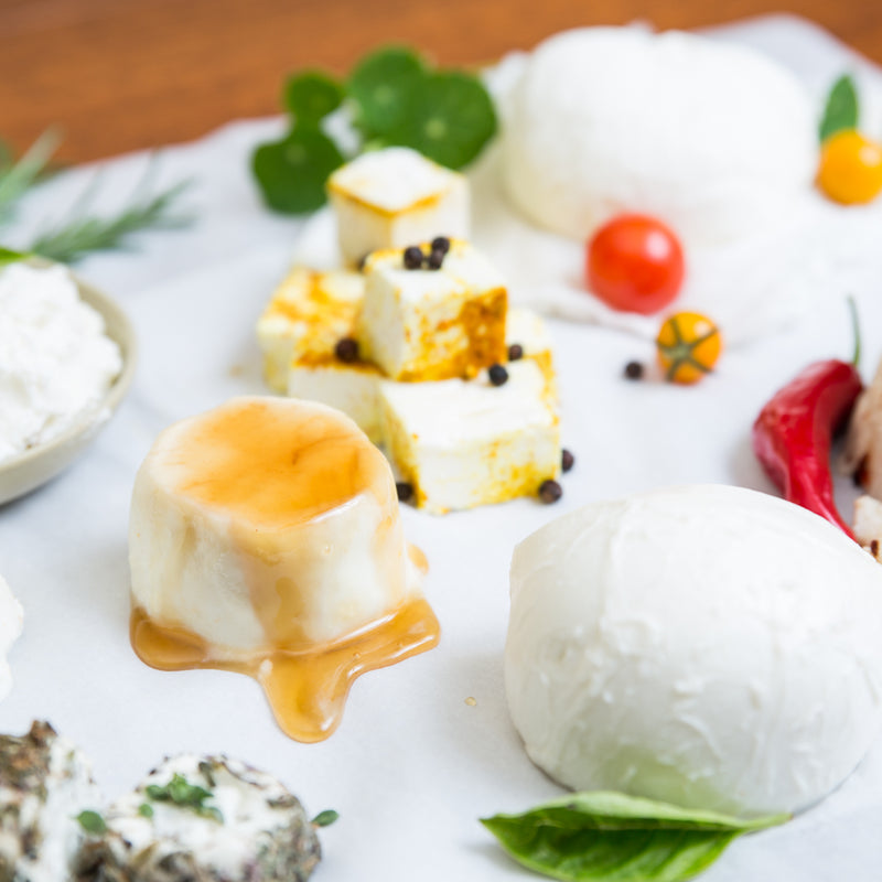 variety of fresh cheeses