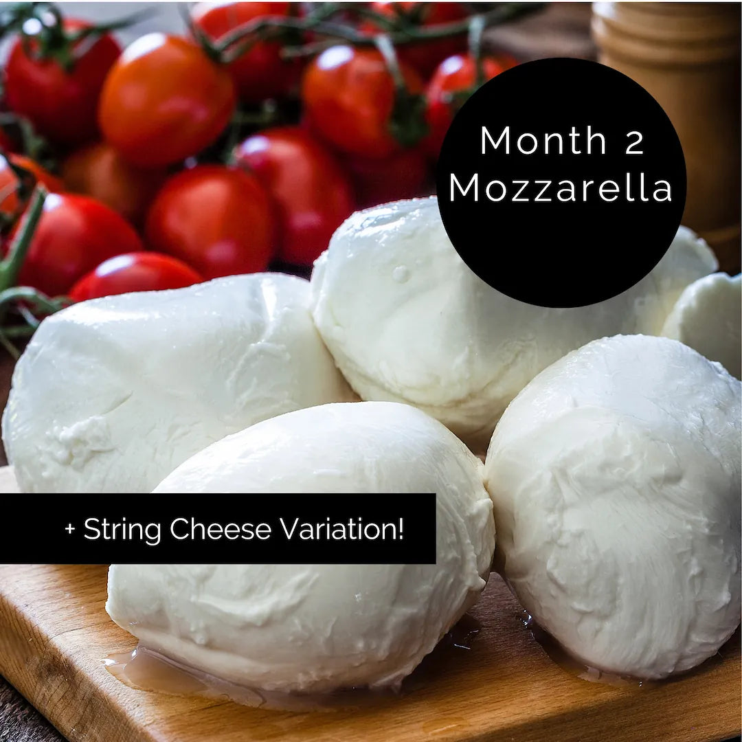 Deluxe One Hour Cheese Kit + On-Demand Classes