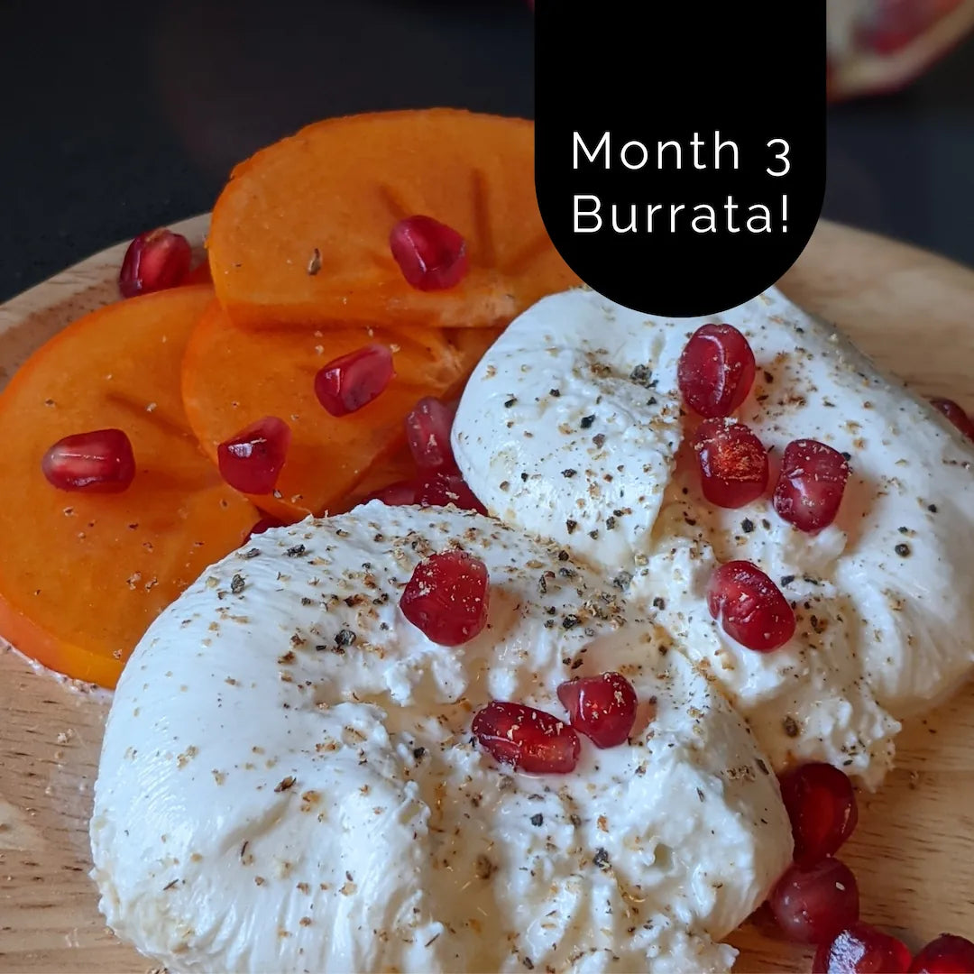 Deluxe One Hour Cheese Kit + On-Demand Classes