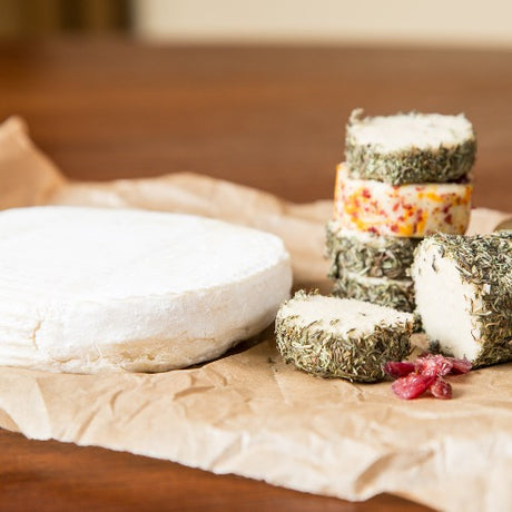 Refill - Quick-Set Agar Powder (for dairy-free/vegan cheeses)