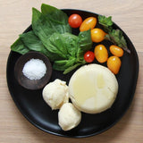 Dairy Free Cheese Kit - Make Cheddar, Mozzarella & Brie - Vegan, Paleo, Gluten-Free