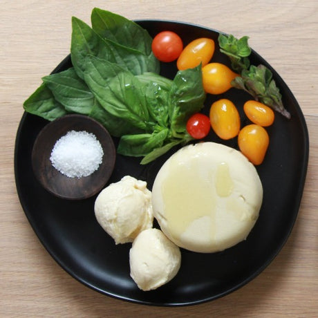Dairy Free Cheese Kit - Make Cheddar, Mozzarella & Brie - Vegan, Paleo, Gluten-Free