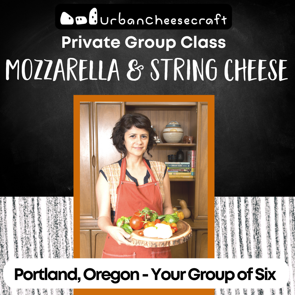 Private In-Person Mozzarella & String Cheese Class - Group of Six - Portland, Oregon