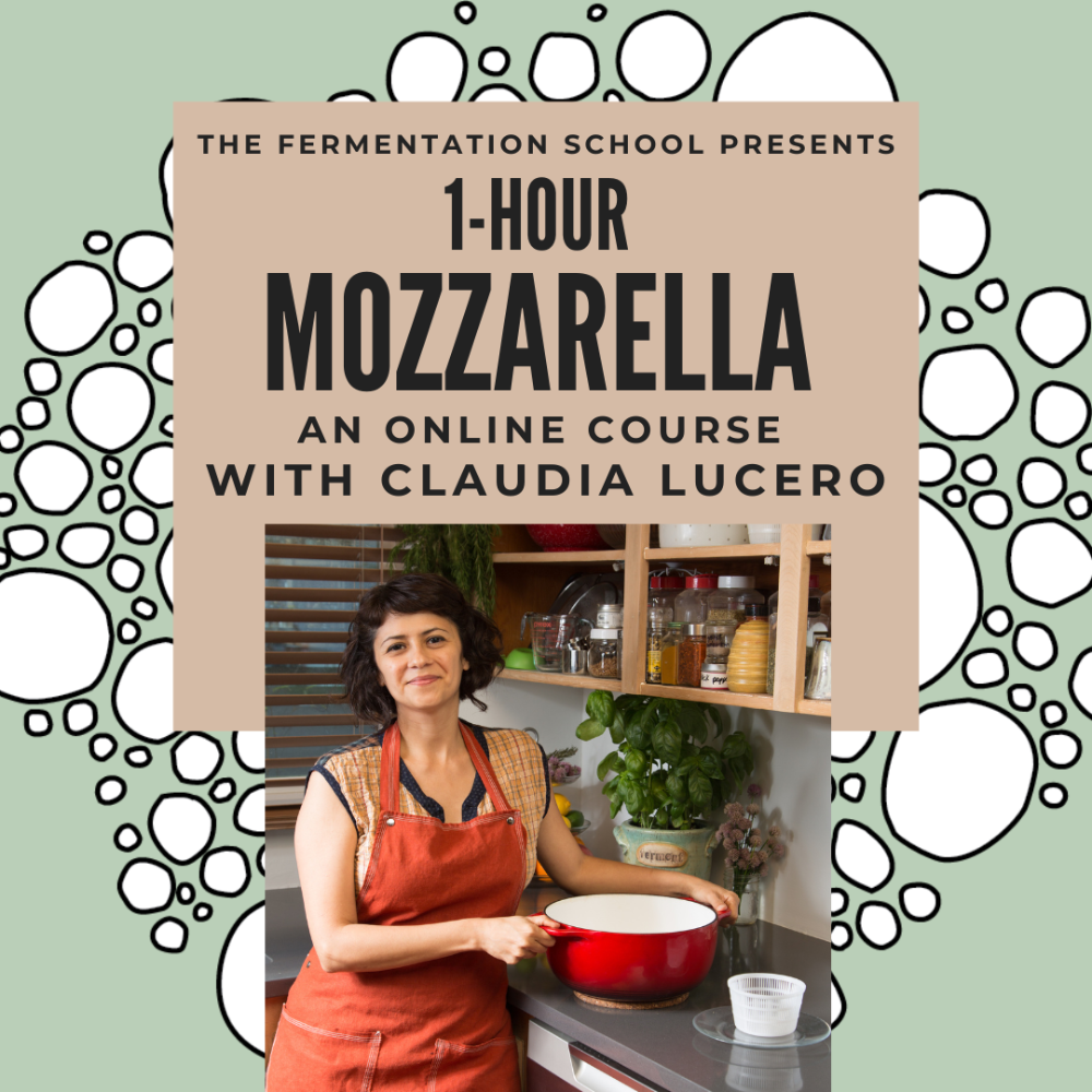 online cheesemaking class poster claudia lucero one hour mozzarella